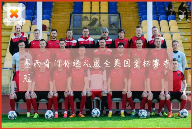 墨西哥门将送礼成全美国金杯赛夺冠