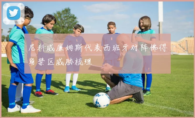 尼科威廉姆斯代表西班牙对阵佛得角禁区威胁梳理