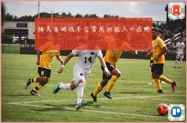 梅美高游戏平台常用功能入口在哪
